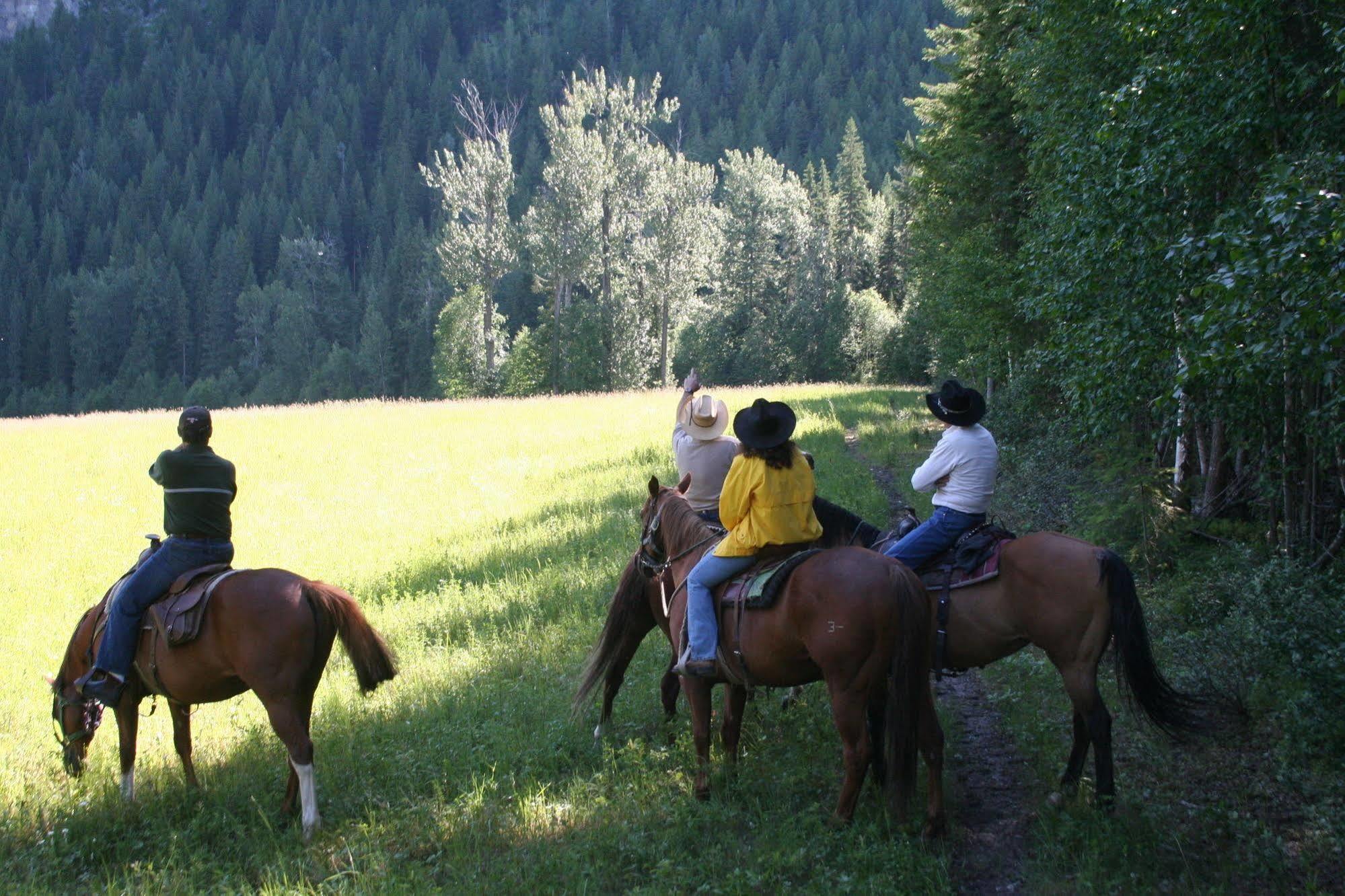 Vagabond Lodge At Kicking Horse Golden Luaran gambar